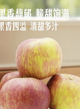 山姆南非西开普小富士苹果当季脆甜饱满多汁新鲜水果礼盒酸甜适中
