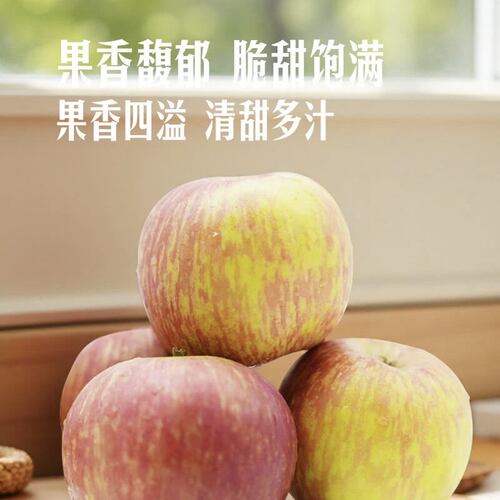 山姆南非西开普小富士苹果当季脆甜饱满多汁新鲜水果礼盒酸甜适中