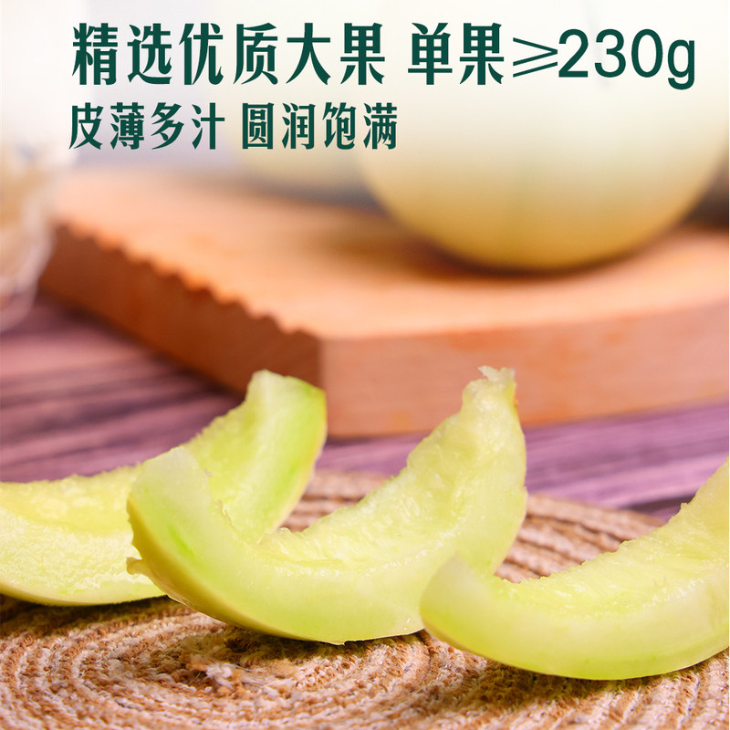 山姆山东青岛马连庄甜瓜新鲜水果大果单果达230g蜜瓜香瓜皮薄多汁
