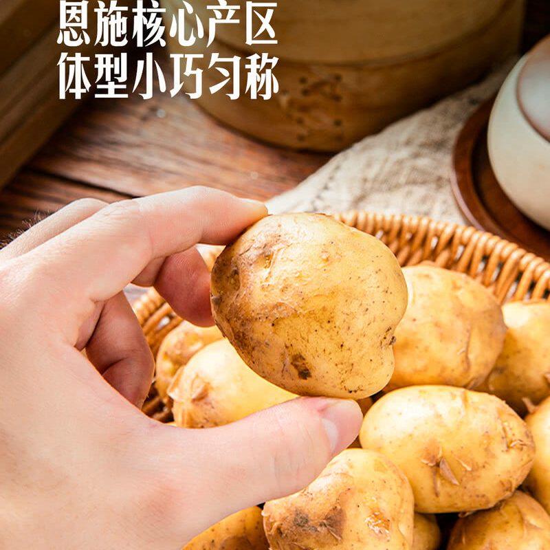 山姆恩施产区香糯小土豆1.5kg新鲜蔬菜蒸煮土豆泥皮薄粉糯棉密沙