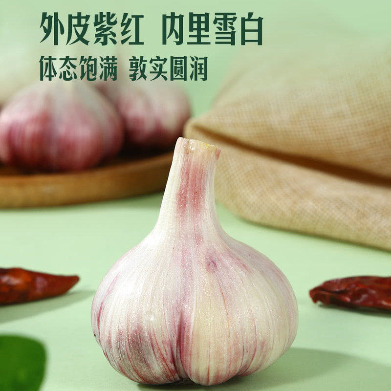 山姆代购鲜蒜头外皮紫红饱满蒜香浓郁可生食可腌可烤新鲜采摘蔬菜