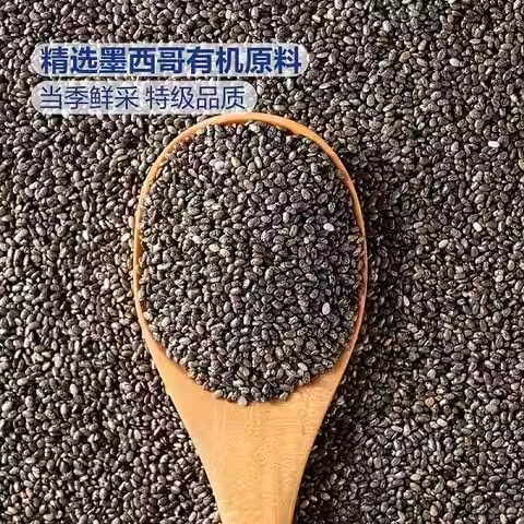 山姆高蛋白有机特级墨西哥当季奇亚籽免洗牛奶麦片膳食纤维矿物质
