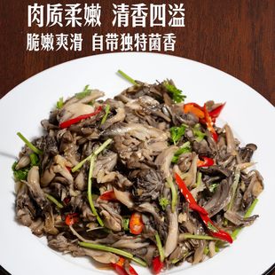 山姆舞茸山珍菌菇灰树花新鲜蔬菜适合炒凉拌香煎煲汤火锅脆嫩爽滑