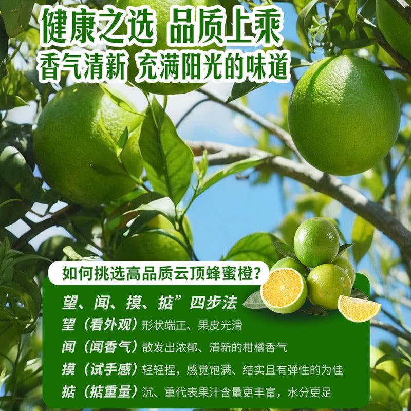 山姆云南云顶蜂蜜橙高原水果自然果香绿薄皮黄肉厚橙子满口果汁水