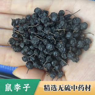 中药材打枪子100克包邮冷背奇中草药大全 实体中药铺正品鼠李子