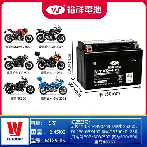 裕祥摩托车电瓶12V豪爵TR300/DL250 铃木GS250,DL250,GSX400