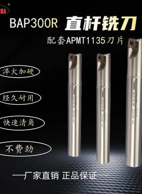 悍狮霸加工中心抗震直杆铣刀杆BAP300R/400R/10/12/14/15/16/20/