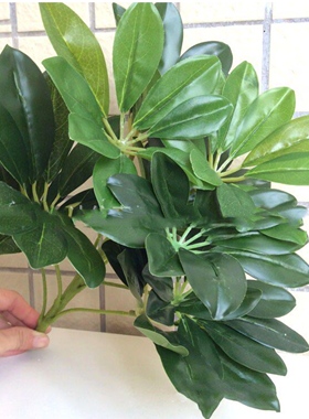 仿真植物绿植鸭脚木盆景单枝绿色花艺背景墙客厅装饰绿叶厂家直销
