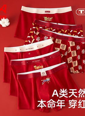 猫人本命年红色内裤青少年儿童男童纯棉a类大童正品12岁马年2026