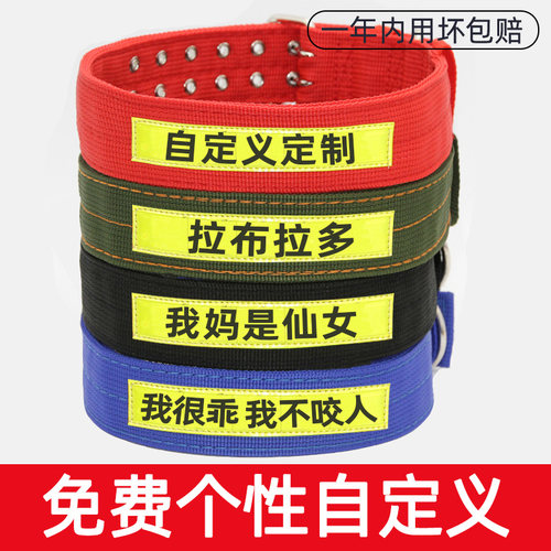 刻字身份防丢中大型犬反光项圈
