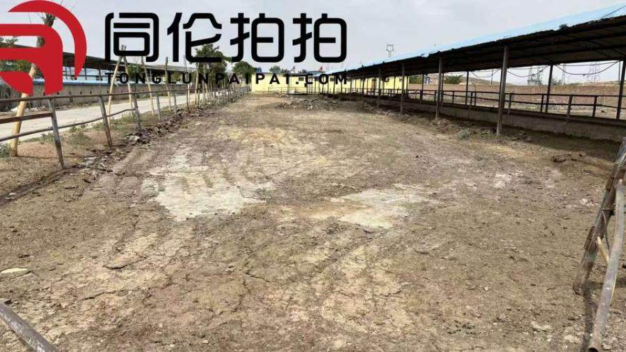 2月9日吴忠土地使用权、地上附着物及机器设备网络拍卖公告