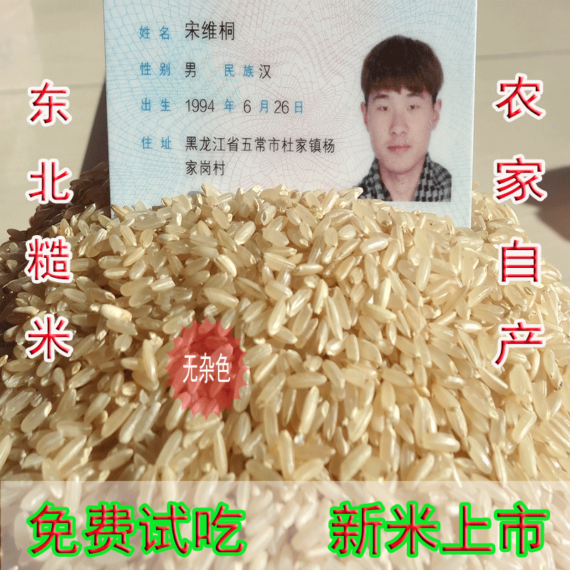 新米东北农家自产稻花香糙米50糙米