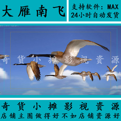 影视动画级别大雁群飞17只鸟带骨骼循环动画动物飞禽3Dmax模型