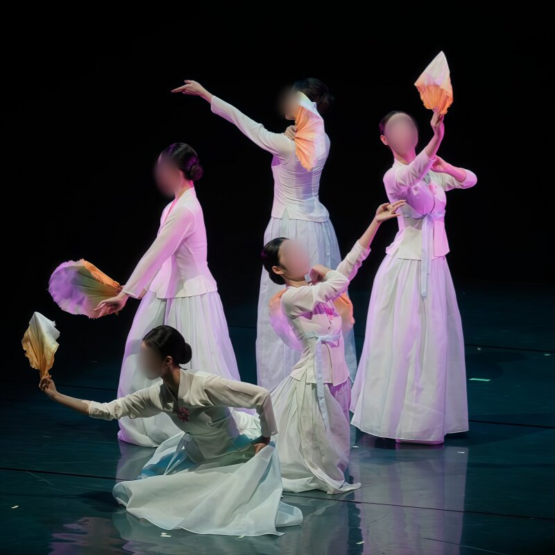 朝鲜五人舞《花语》同款定制服装图片