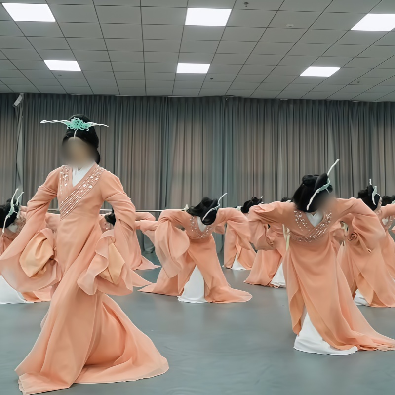 《春归引》古典舞舞蹈服