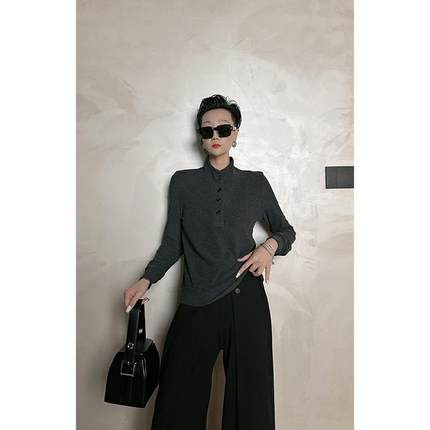 Dan Dan 极简风小立领长袖T恤女 秋冬新款百搭上衣