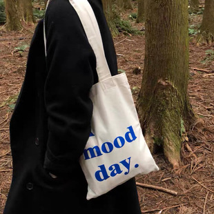 韩版ins简约字母帆布包小众设计迷你单肩包手拎包纯棉布袋通勤包