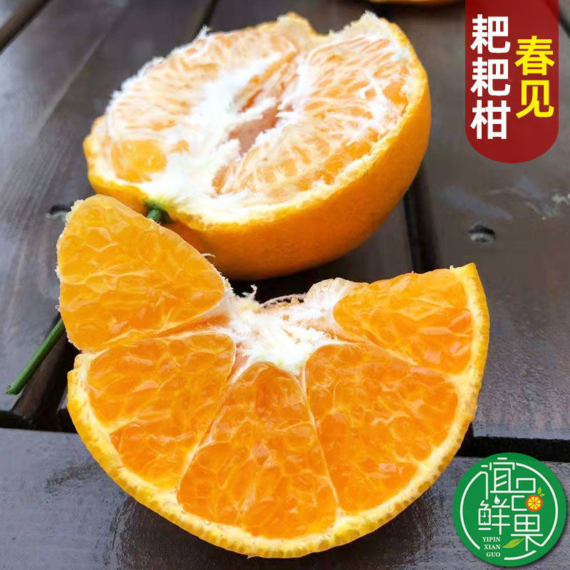 四川眉山春见耙耙柑精选中大果5斤装新鲜现摘现发超甜多汁粑粑柑,水产肉类/新鲜蔬果/熟食,桔子,淘宝优惠券,粉丝福利购,淘宝优惠卷