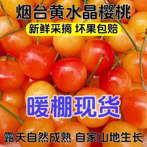 黄水晶樱桃孕妇水果新鲜车厘子