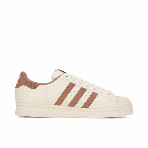 全新adidasOriginalsSuperstar 轻便贝壳头薄底舒IF0504
