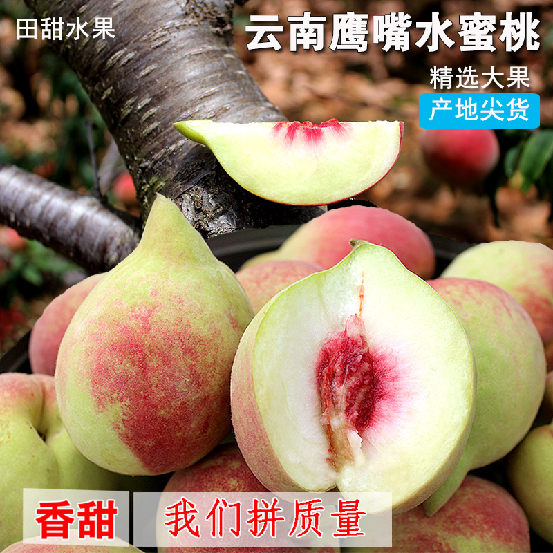 新鲜水果鹰嘴桃8斤脆桃非毛黄桃