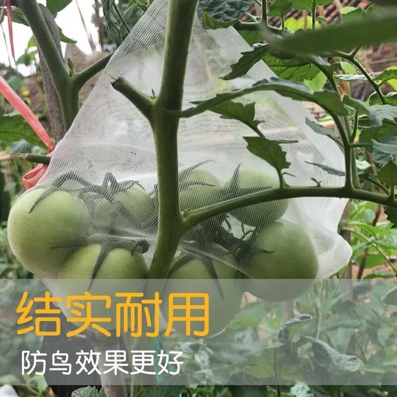 水果西红柿套袋桃子果树套袋