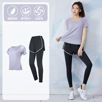 Два фиолетовых пурпурных двух -набор Fiece FTC34667