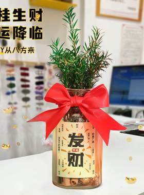 隆泉宝肉桂生财玻璃瓶摆件