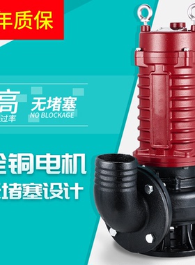 戴克污水泵220v家用化粪池抽粪泵380v三相泥浆泵抽泥沙高扬程排污