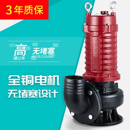 戴克污水泵220v家用化粪池抽粪泵380v三相泥浆泵抽泥沙高扬程排污
