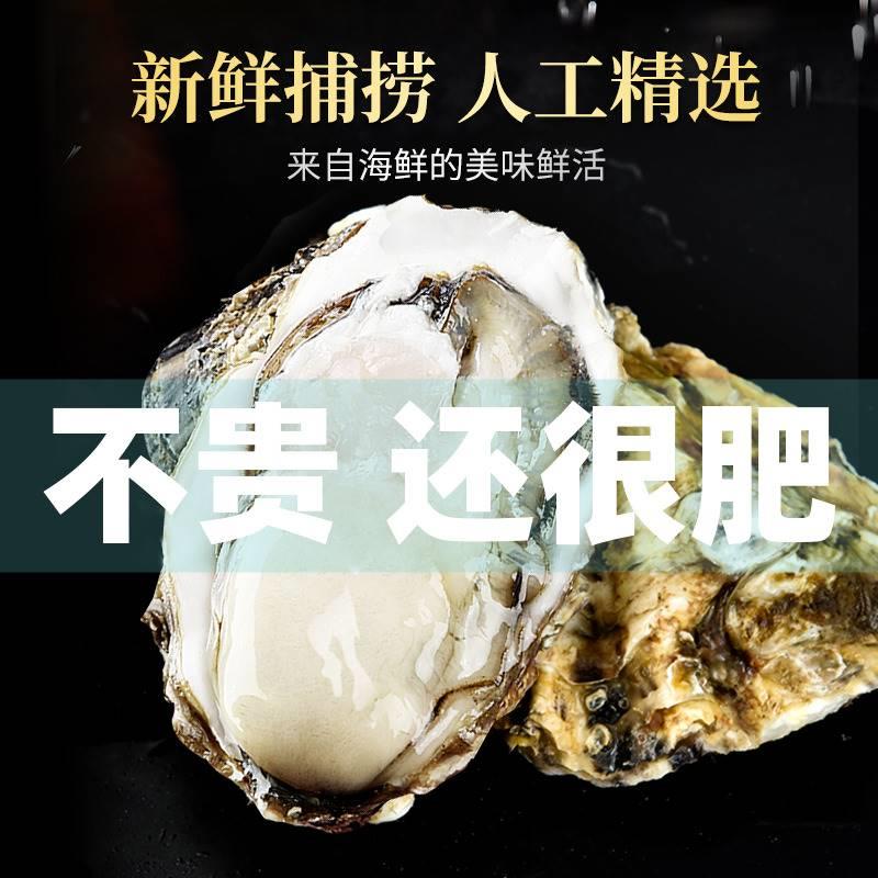 乳山生蚝鲜活特大牡蛎王带壳生吃海蛎子新鲜海鲜水产带箱10斤顺丰