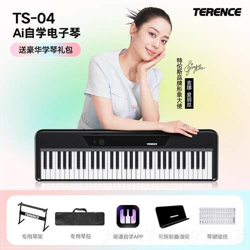 正品特伦斯TS04智者1能钢琴亮跟弹儿童成人初学入门可携式6灯键电