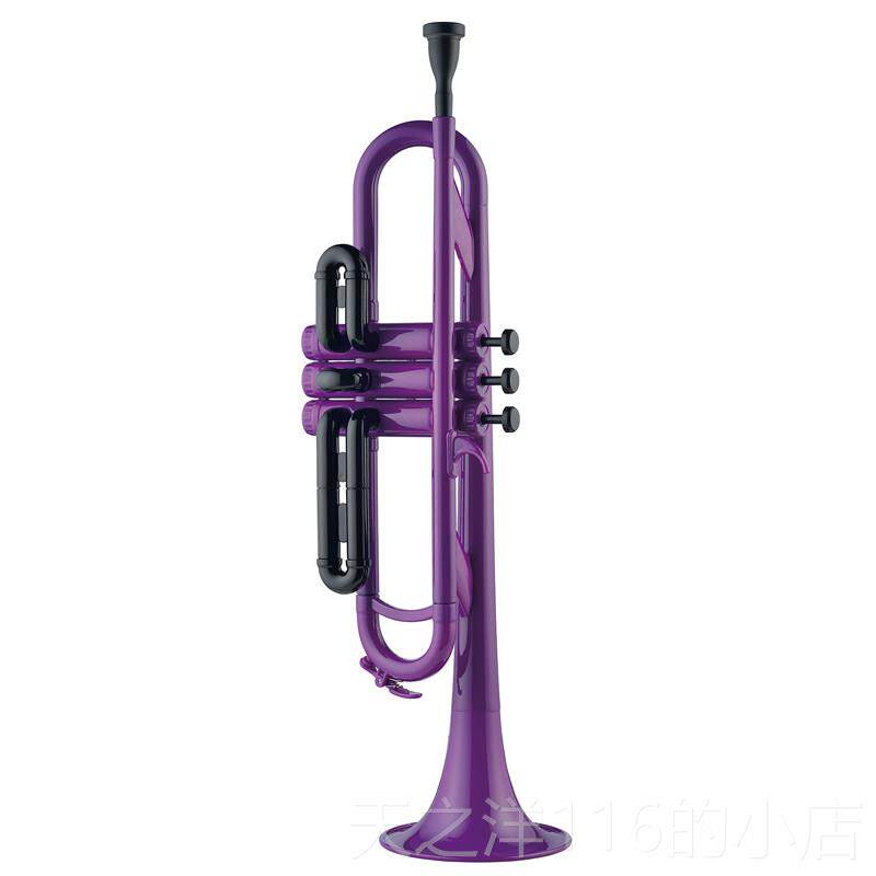 正品酷风coolwin降d塑料小乐器铜管乐器B调初级学考号专业演奏包