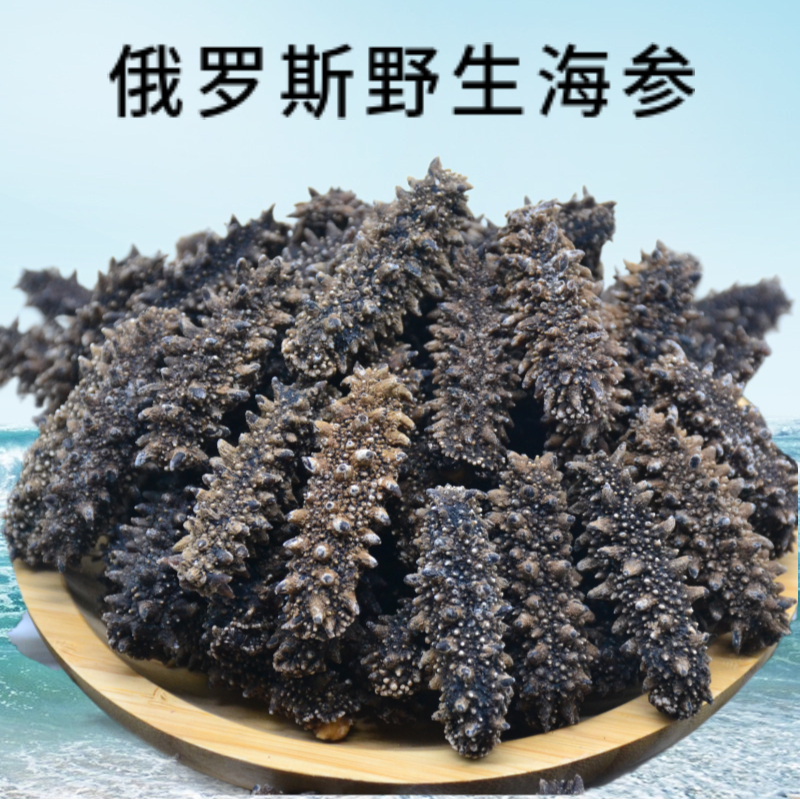 俄罗斯进口野生海参红参