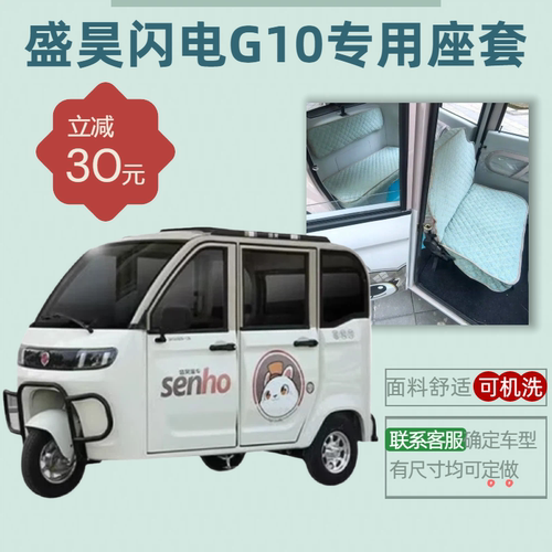 盛昊闪电G10电动三轮车专用座套