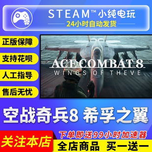 Steam正版 空战奇兵8 希孚之翼 国区礼物激活空战奇兵8数字豪华版