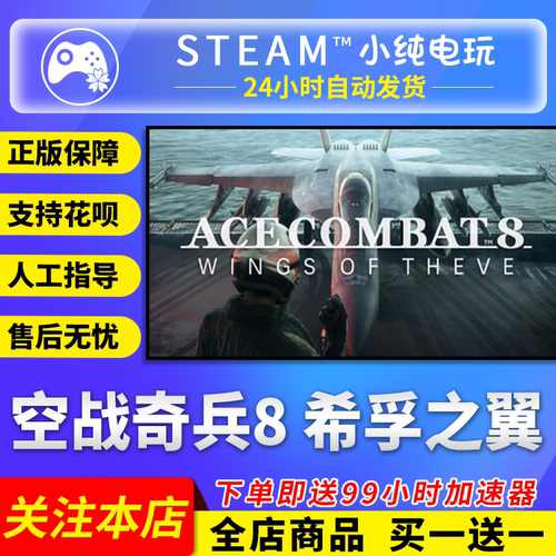 Steam正版空战奇兵8希孚之翼