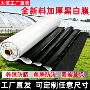 养殖大棚黑白膜隔热膜降温反光茂金属新料食用菌棚膜抗老化养殖膜