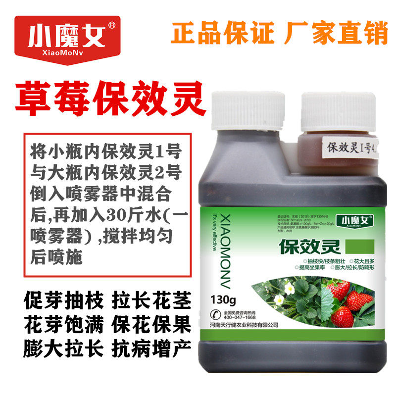 小魔女草莓保效灵草莓专用保花保果膨大药膨大剂花芽分化素叶面肥