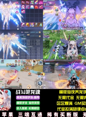 战斗吧龙魂仙侠手游 360万代金 稳定养龙原神游戏安卓苹果