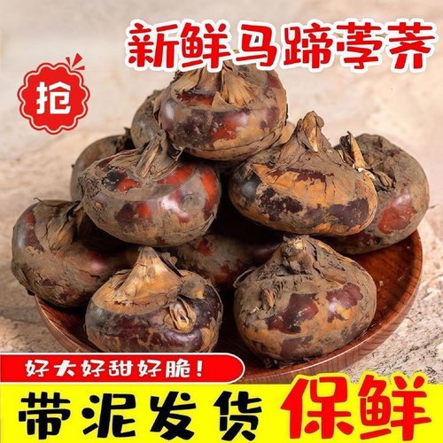 新鲜荸荠地梨当季马蹄带泥沙发货