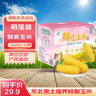 稻宝昌 东北鲜制甜糯玉米棒非转基因真空包装10穗2200g