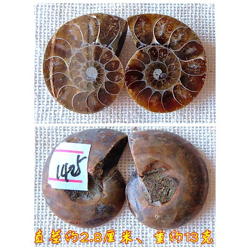 正品开片叶菊化石石摆石材动物招财全玉化情侣吊件古坠生物标本99