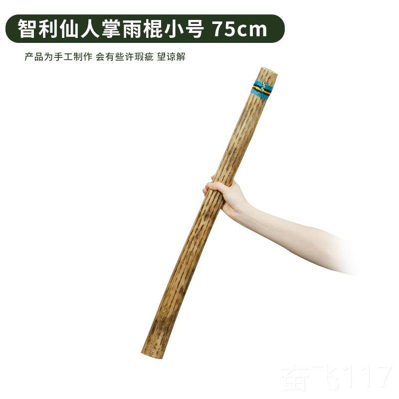 正品德瑞terre雨棍南智利仙人小掌雨棒雨声器雨筒民族众乐声器音