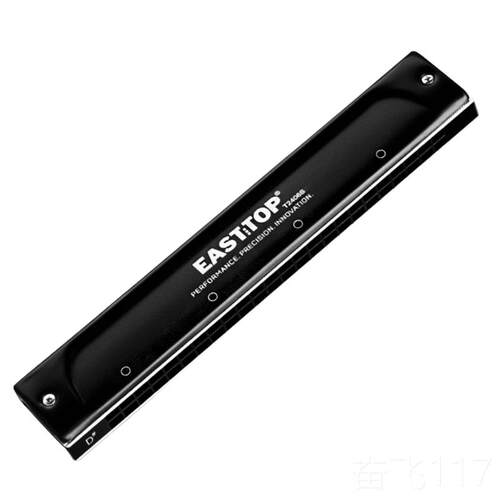 正品方鼎T2406S口琴C加孔厚24复音ABDEGF东调成人专业调演奏初学