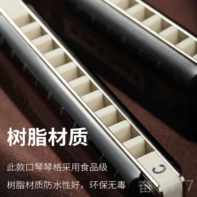 正品孔声十孔口琴布鲁斯蓝调乐器生儿成人学者专学业演奏10童孔口图片