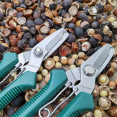 兰妹子剥老莲子工具榛子开壳器芡实钳子鸡头米剥壳器莲子去壳神器