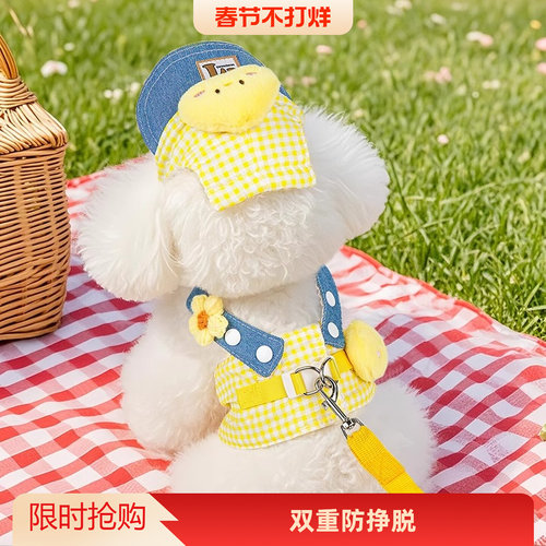 狗狗胸背带新款夏季卡通胸背套装