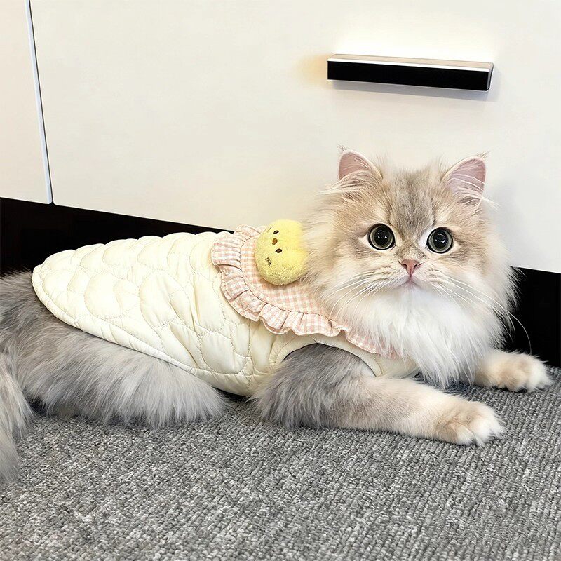 猫咪衣服保暖秋冬可爱马甲防掉毛银渐层布偶狗狗比熊加绒加厚背心,宠物/宠物食品及用品,猫宠物服装/雨衣（新）,淘宝优惠券,粉丝福利购,淘宝优惠卷