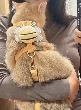 猫咪牵引绳防挣脱外出专用遛猫绳溜猫链子宠物胸背带猫绳子可调节